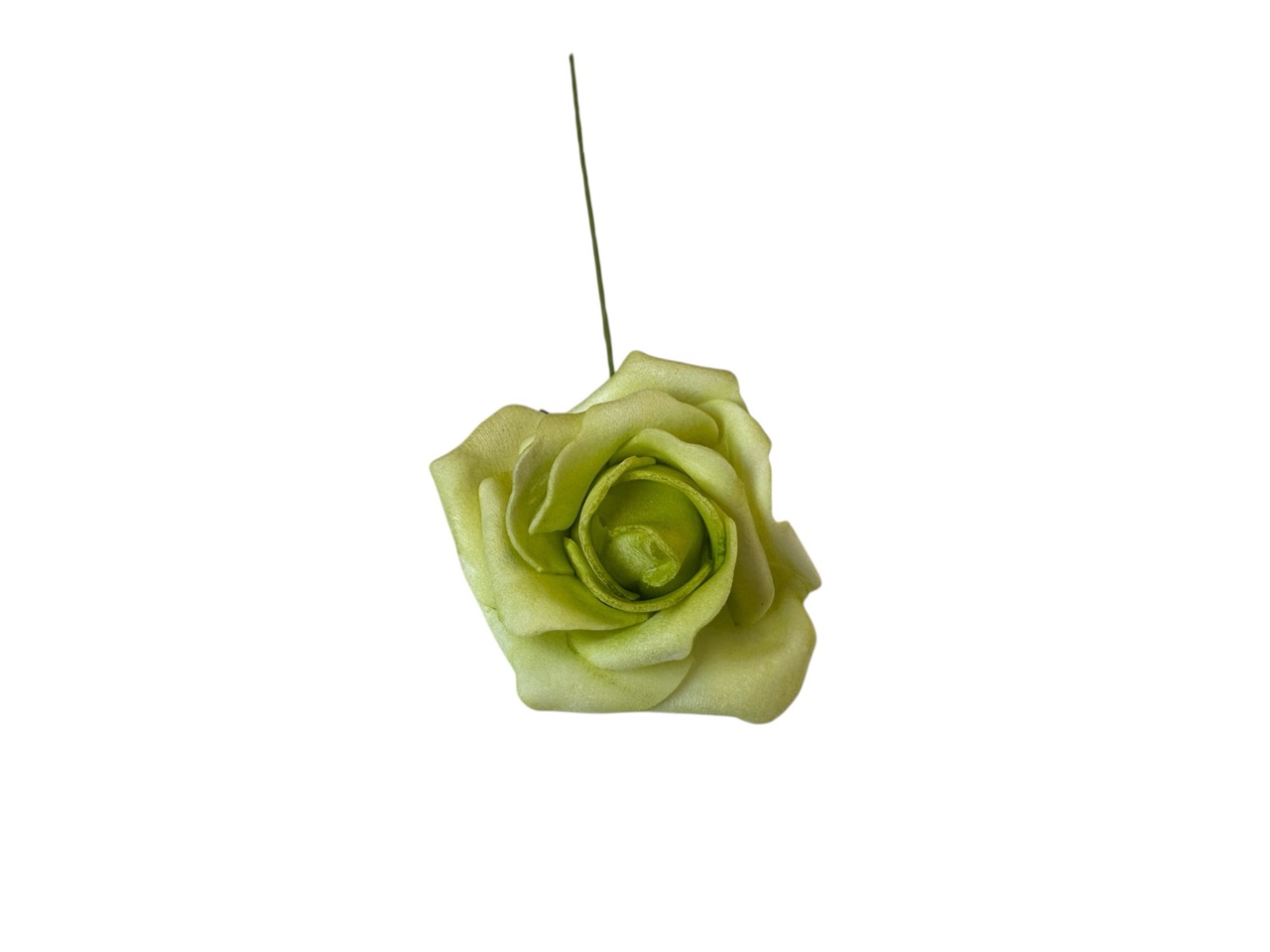 Foamrose Clara grün, D5cm, L:25cm; Beutel mit 30 Rosen
