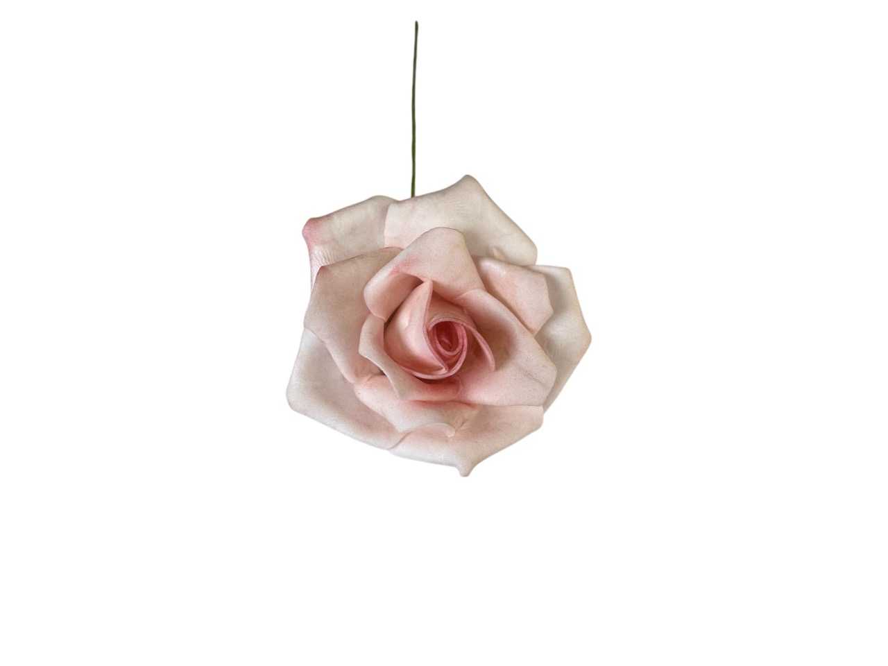 Foamrose Clara rosa; D7cm, L25cm, Beutel mit 24 Rosen