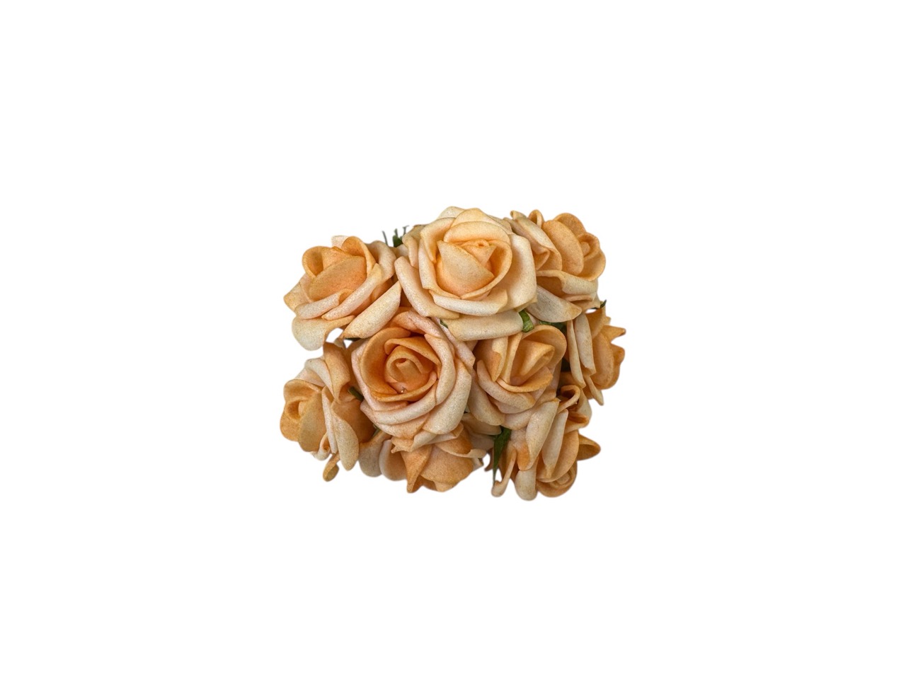 Foamrose Bund x9, aprikot / Bund a 9 Stk., D2cm, L12cm, Beutel mit 6 Bünde