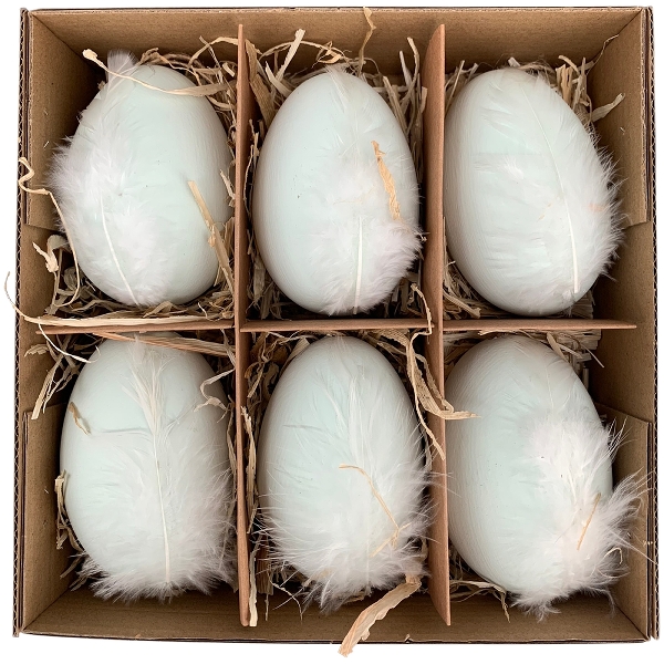 Box mit Ei Goog, weiß, 6 tlg. Gänseeier 