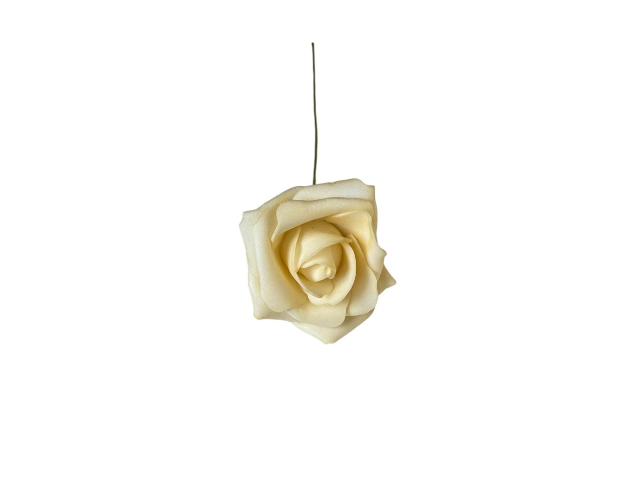 Foamrose Clara creme, D5cm, L:25cm; Beutel mit 30 Rosen