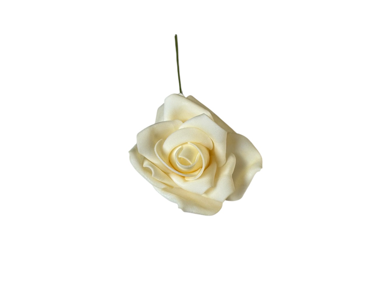 Foamrose Clara creme; D7cm, L25cm, Beutel mit 24 Rosen