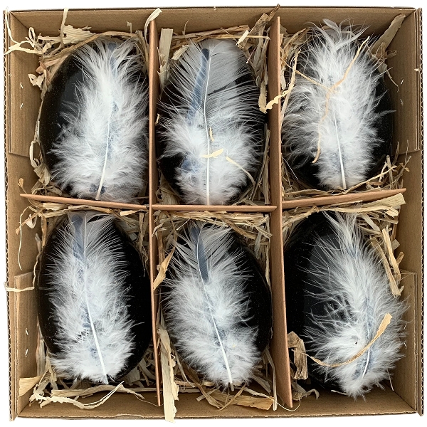 Box mit Ei Goog, 6 tlg. Gänseeier