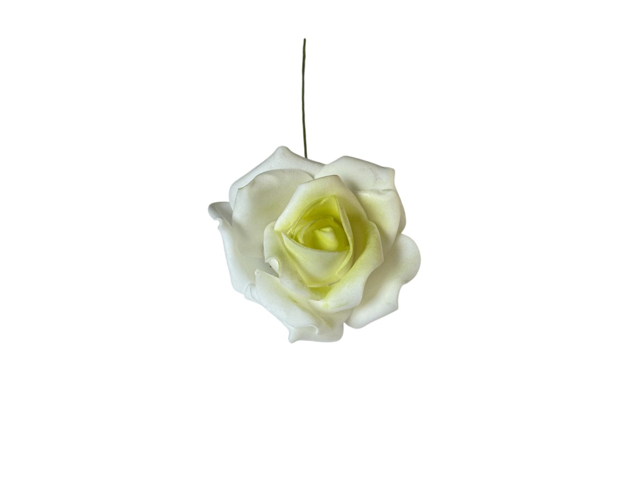 Foamrose Clara weiß-grün; D7cm, L25cm, Beutel mit 24 Rosen