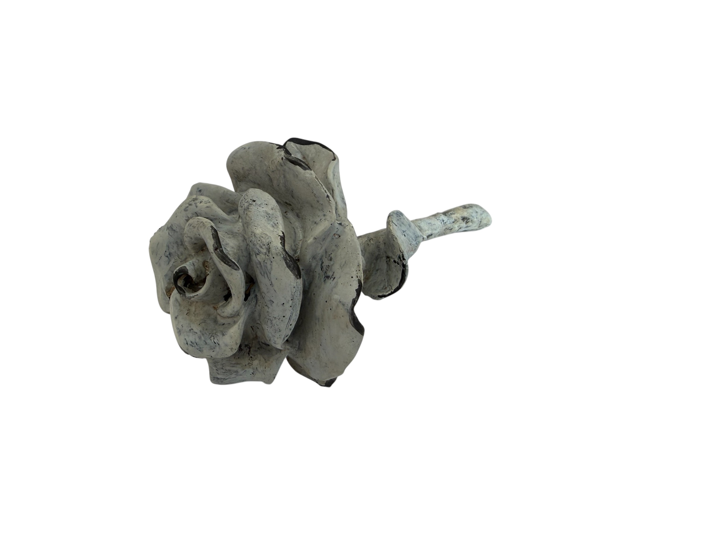 Rosenkopf Stone offen steingrau, Box mit 3 Stück; 15x8x7,5 cm